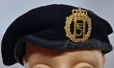 Panserbataljonen