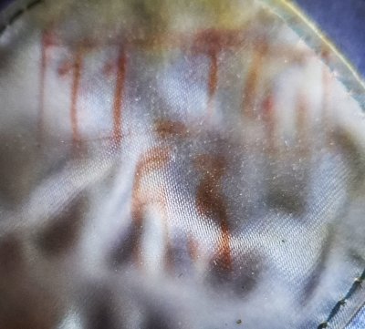 Czapka gabardynowa MO podoficer 0450 