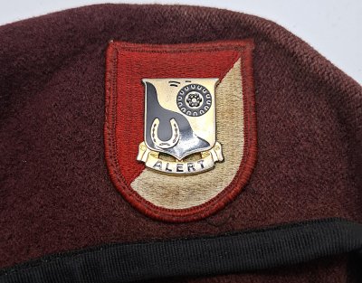 1st Squadron (Airborne), 91st Cavalry Regiment