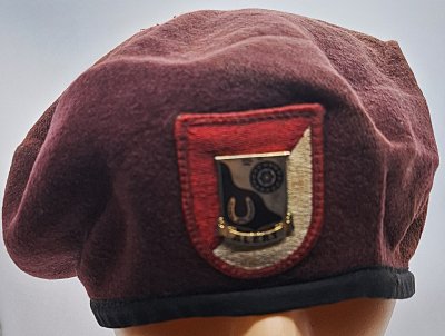 1st Squadron (Airborne), 91st Cavalry Regiment