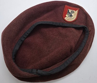 1st Squadron (Airborne), 91st Cavalry Regiment