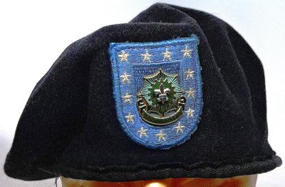 2nd Cavalry Regiment