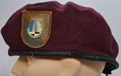 319th Military Intelligence Battalion
