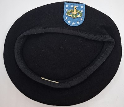 3rd Cavalry Regiment