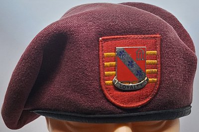 4th Battalion, 319th Field Artillery Regiment