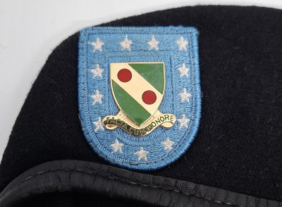 793rd Military Police Battalion