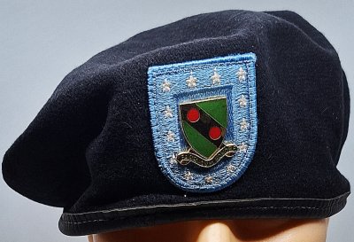 793rd Military Police Battalion