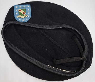 793rd Military Police Battalion