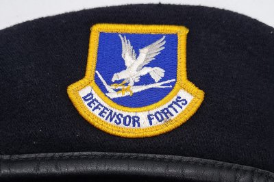 USAF Security Forces