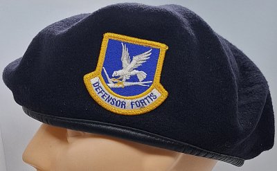 USAF Security Forces