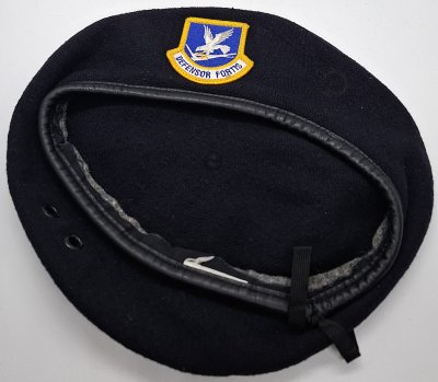 USAF Security Forces
