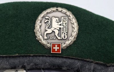 Felddivision 6