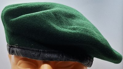 Felddivision 6