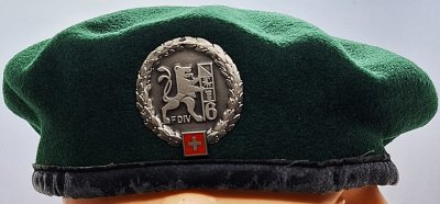 Felddivision 6