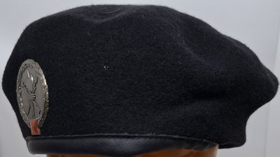 Führungsunterstützungsbrigade 41