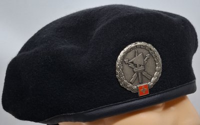 Führungsunterstützungsbrigade 41