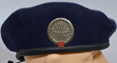 Lehrverband FU 30 (LVb FU 30)