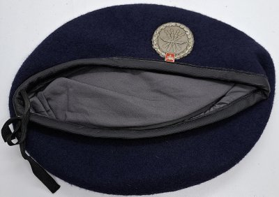 Lehrverband FU 30 (LVb FU 30)