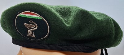 Egészségügyi - medyk