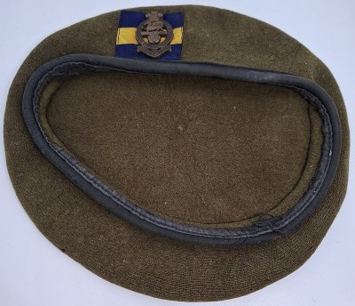 Princess of Wales's Royal Regiment
