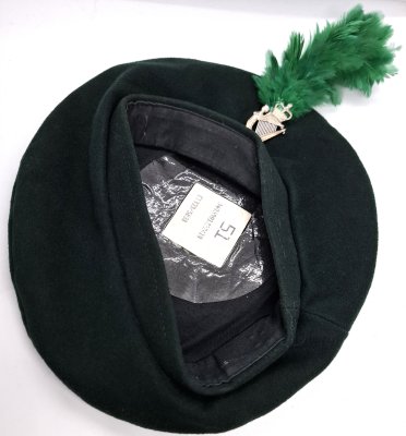Royal Irish Regiment 