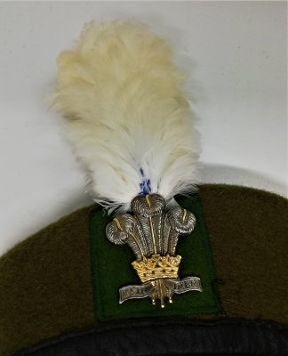 Royal Regiment of Wales - 1st Battalion