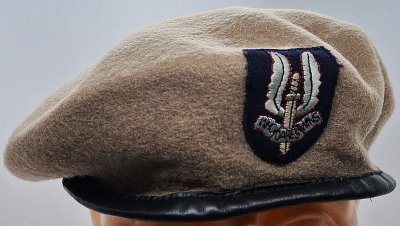 Special Air Service