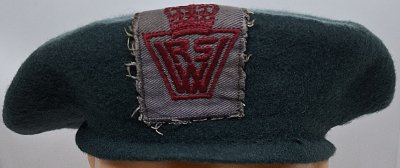 Women's Royal Voluntary Service WRVS