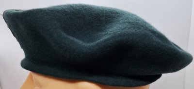 Women's Royal Voluntary Service WRVS