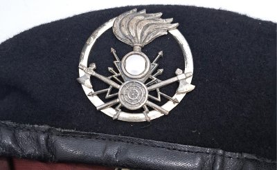 Arma delle Trasmissioni e Specialità