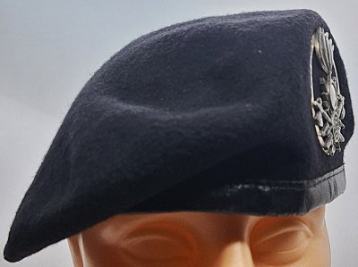 Arma delle Trasmissioni e Specialità 