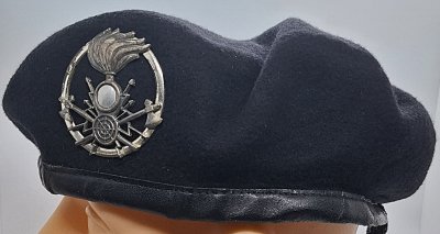 Arma delle Trasmissioni e Specialità 