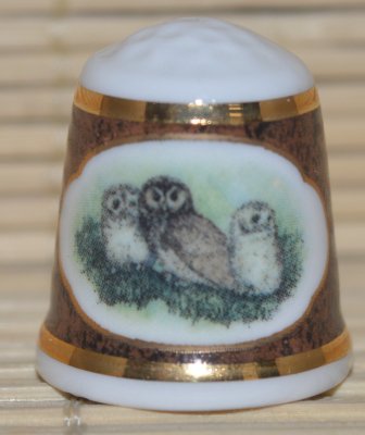 Sowy i ich pisklęta