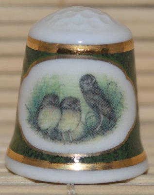 Sowy i ich pisklęta