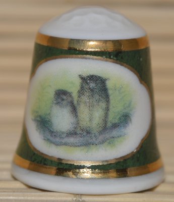 Sowy i ich pisklęta