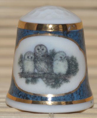 Sowy i ich pisklęta