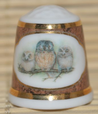 Sowy i ich pisklęta