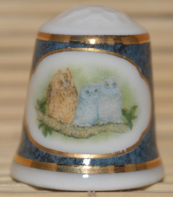 Sowy i ich pisklęta