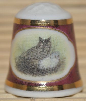 Sowy i ich pisklęta