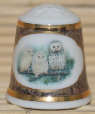 Sowy i ich pisklęta