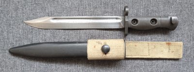 Bagnet australijski L1A2