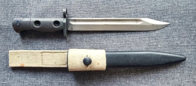 Bagnet australijski L1A2